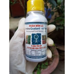 Phân bón lá vi lượng tổng hợp Amino quelant minors 100ml 4
