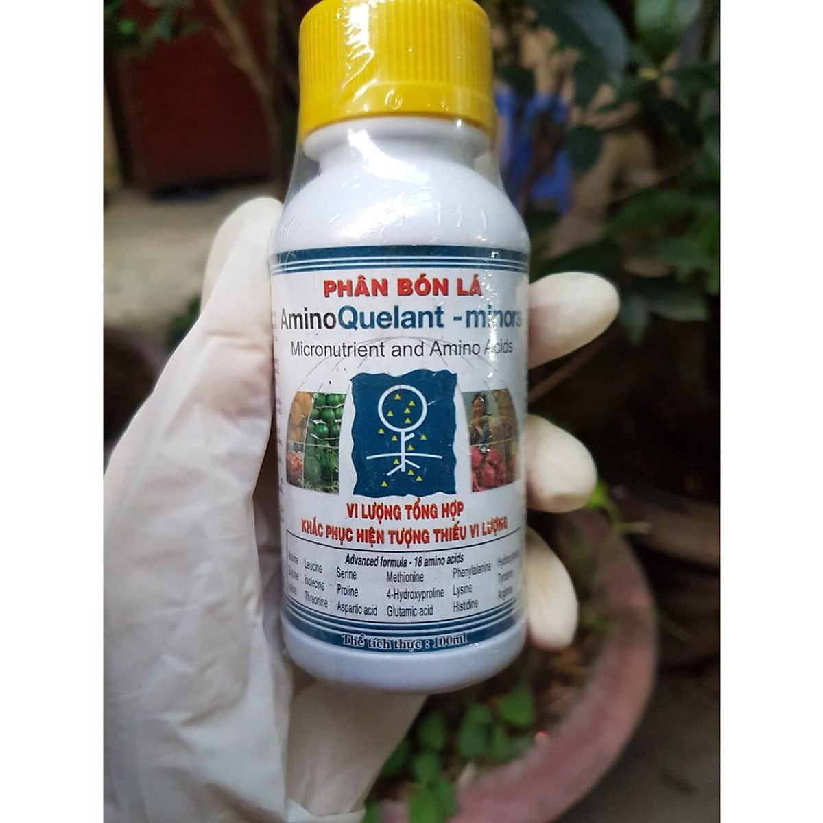 Phân bón lá vi lượng tổng hợp Amino quelant minors 100ml 4