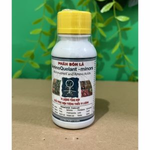Phân bón lá vi lượng tổng hợp Amino quelant minors 100ml 5