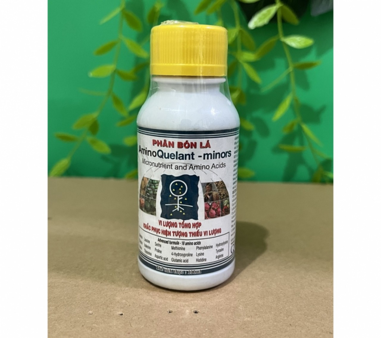 Phân bón lá vi lượng tổng hợp Amino quelant minors 100ml 5