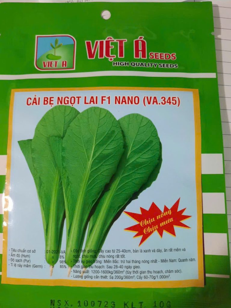 Hạt giống cải bẹ xanh F1, cải bẹ ngọt 1
