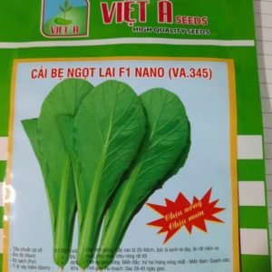Hạt giống cải bẹ xanh F1, cải bẹ ngọt