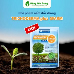 chế phẩm vi sinh nấm đối kháng Trichoderma Đặng Gia Trang 500gr, 1kg 3