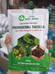chế phẩm sinh học trichoderma đức bình 200gr 1