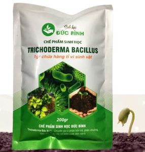 chế phẩm sinh học trichoderma đức bình 200gr 5