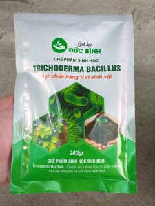chế phẩm sinh học trichoderma đức bình 200gr 4
