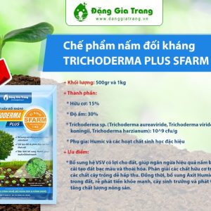 chế phẩm vi sinh nấm đối kháng Trichoderma Đặng Gia Trang 500gr, 1kg 2