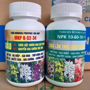 Phan-bon-MKP-0-52-34-kich-hoa-4