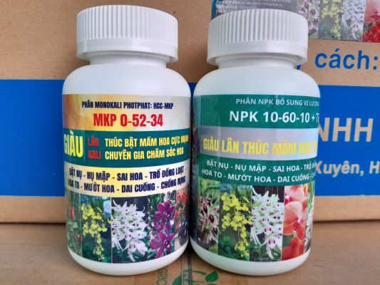 Phan-bon-MKP-0-52-34-kich-hoa-4