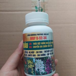 Phan-bon-MKP-0-52-34-kich-hoa-1