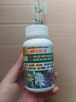 Phan-bon-MKP-0-52-34-kich-hoa-1