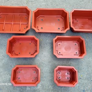 chau-ang-chau-nhua-trong-bonsai-cay-canh-6