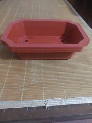 chau-ang-chau-nhua-trong-bonsai-cay-canh-4