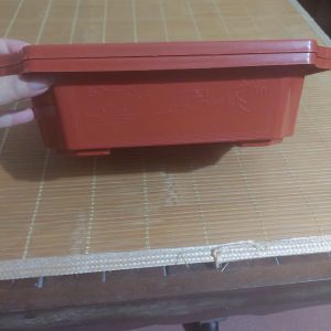 chau-ang-chau-nhua-trong-bonsai-cay-canh-3