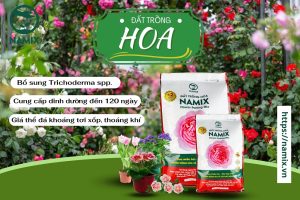 dat-trong-hoa-namix-bao-10dm3-khoang-5kg-dat-trong-hoa-namix-gia-the-cao-cap-da-duoc-phoi-tron-chuyen-trong-hoa