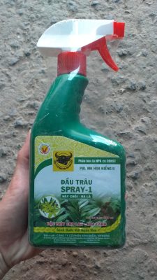 dau-trau-spray-1-kich-mam-kich-choi