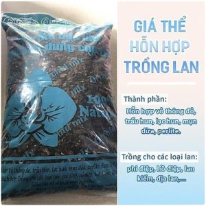 gia-the-dac-biet-tron-san-chuyen-dung-cho-lan-tui-10-lit-gia-the-trong-lan-tui-2kg
