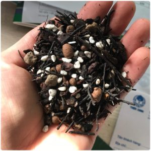 gia-the-dac-biet-tron-san-chuyen-dung-cho-lan-tui-10-lit-gia-the-trong-lan-tui-2kg