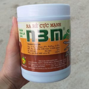 kich-re-N3M