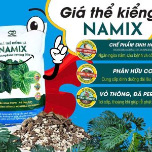 giá-the-kieng-la-namix-10dm-12