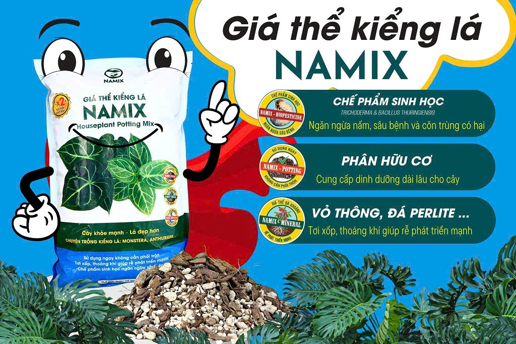 giá-the-kieng-la-namix-10dm-12