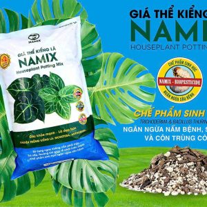 giá-the-kieng-la-namix-10dm-9