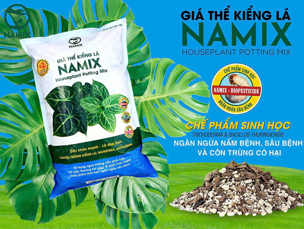 giá-the-kieng-la-namix-10dm-9