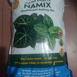 giá-the-kieng-la-namix-10dm-2
