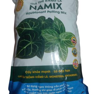 giá-the-kieng-la-namix-10dm