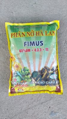 Phan-no-ha-lan-1