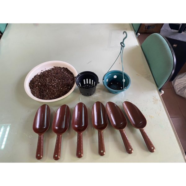 xeng-nhua-mini-trong-cay-xoi-dat-lam-vuon/?preview=true xeng-nhua-mini-trong-cay-xoi-dat-lam-vuon/?preview=true
