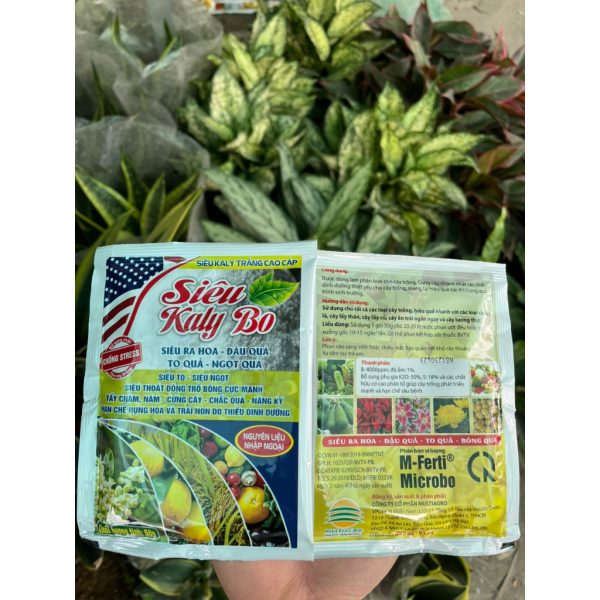 /phan-bon-sieu-kali-bo-cao-cap-sieu-ra-hoa-dau-qua-sieu-ngot-chong-stress-goi-50gr /phan-bon-sieu-kali-bo-cao-cap-sieu-ra-hoa-dau-qua-sieu-ngot-chong-stress-goi-50gr