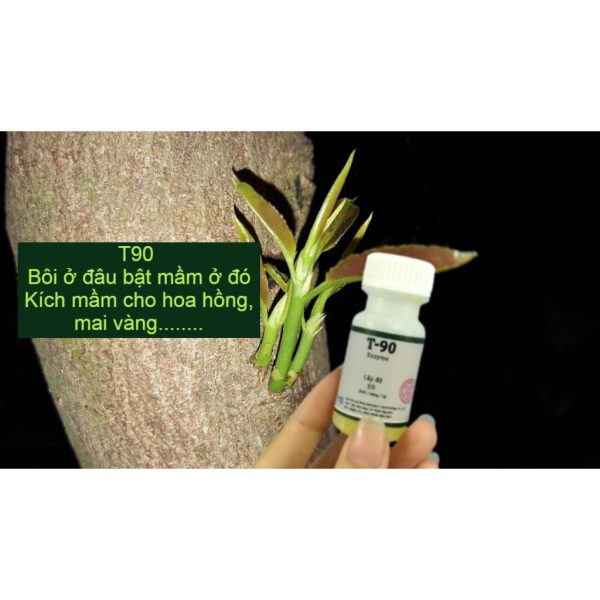 kich-bat-mam-t90-enzyme-15ml-chinh-hang-giup-bat-mam-choi-goc-choi-ben-danh-cho-hoa-hong-va-cay-canh kich-bat-mam-t90-enzyme-15ml-chinh-hang-giup-bat-mam-choi-goc-choi-ben-danh-cho-hoa-hong-va-cay-canh