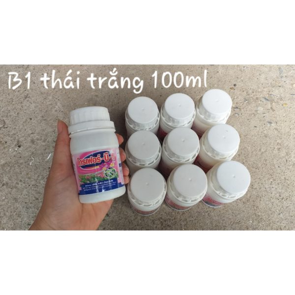 /phan-bon-la-b1-thai-lan-trang-grofer-chai-100ml /phan-bon-la-b1-thai-lan-trang-grofer-chai-100ml