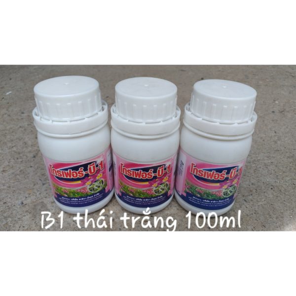 /phan-bon-la-b1-thai-lan-trang-grofer-chai-100ml /phan-bon-la-b1-thai-lan-trang-grofer-chai-100ml