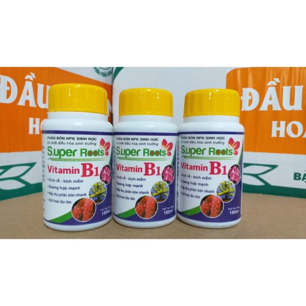 phan-bon-sinh-hoc-super-roots-vitamin-b1-kich-re-kich-mam-giu-hoa-lau-tan-cho-cay-canh-hoa-lan-hoa-hong-lo-100ml/ phan-bon-sinh-hoc-super-roots-vitamin-b1-kich-re-kich-mam-giu-hoa-lau-tan-cho-cay-canh-hoa-lan-hoa-hong-lo-100ml/