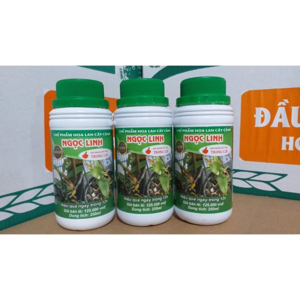 che-pham-dac-tri-thoi-nhun-ngoc-linh-12h-a8-vip-chai-250ml/ che-pham-dac-tri-thoi-nhun-ngoc-linh-12h-a8-vip-chai-250ml/