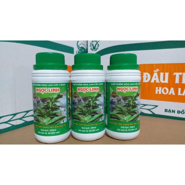 phan-bon-ngoc-linh-a5-vip-bon-thuc-sinh-truong-map-than-xanh-day-la-cho-hoa-lan-cay-canh-hieu-qua-xuat-sac-lo-250ml/ phan-bon-ngoc-linh-a5-vip-bon-thuc-sinh-truong-map-than-xanh-day-la-cho-hoa-lan-cay-canh-hieu-qua-xuat-sac-lo-250ml/