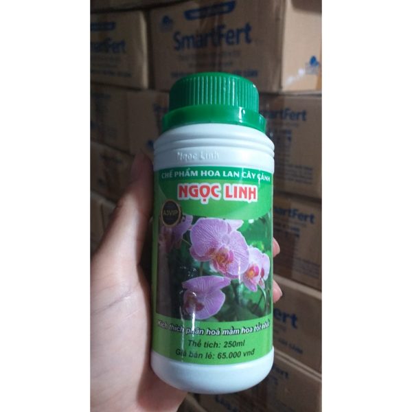 che-pham-kich-hoa-ngoc-linh-a3-vip-kich-thich-phan-hoa-mam-hoa-giup-sai-hoa-chong-rung-hoa-chai-250ml che-pham-kich-hoa-ngoc-linh-a3-vip-kich-thich-phan-hoa-mam-hoa-giup-sai-hoa-chong-rung-hoa-chai-250ml