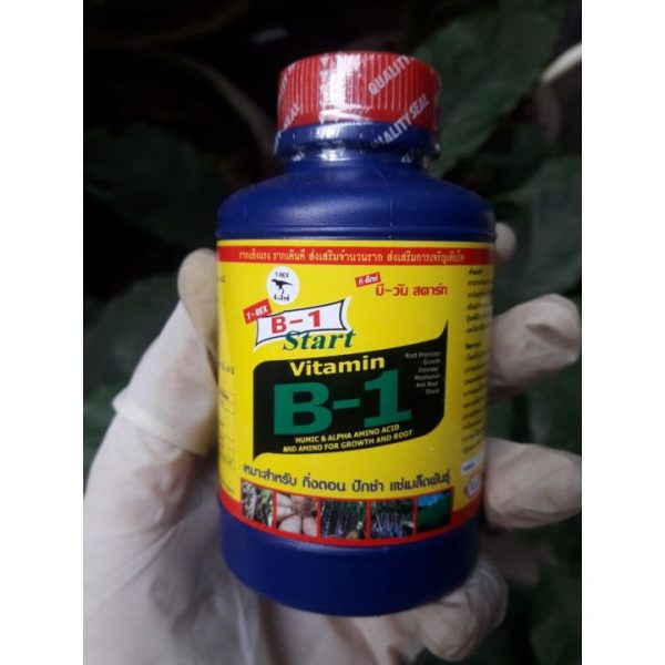 vitamin-b1-thai-lan-xanh-giup-dieu-hoa-sinh-truong-cho-cay-kich-re-phat-trien-manh-chai-100ml vitamin-b1-thai-lan-xanh-giup-dieu-hoa-sinh-truong-cho-cay-kich-re-phat-trien-manh-chai-100ml