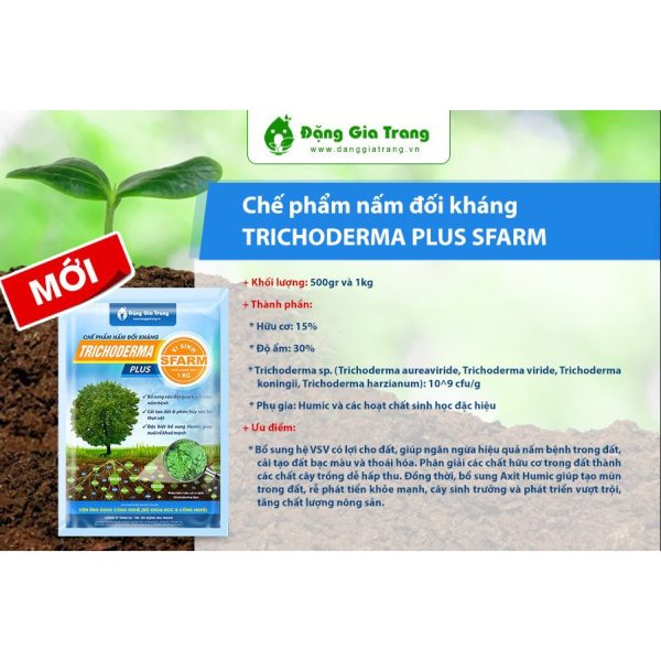 phan-bon-che-pham-vi-sinh-nam-doi-khang-trichoderma-plus-sfarm-1kg-500gr-dang-gia-trang phan-bon-che-pham-vi-sinh-nam-doi-khang-trichoderma-plus-sfarm-1kg-500gr-dang-gia-trang