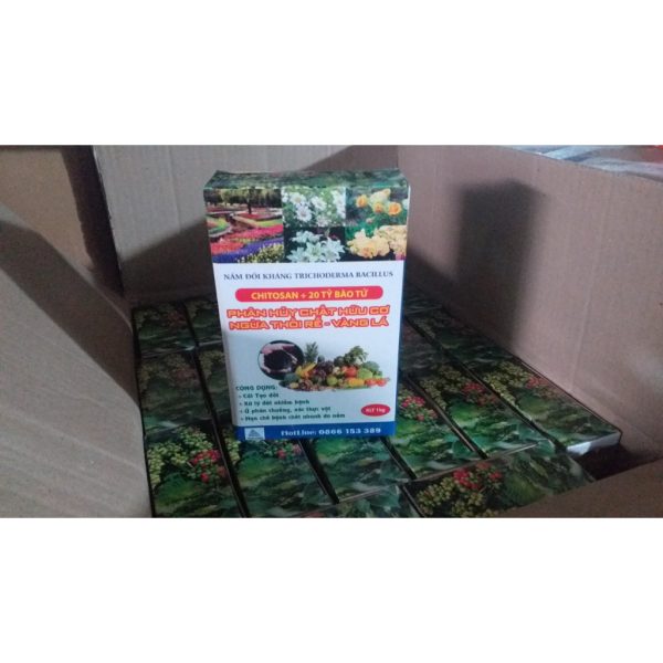 phan-bon-trichoderma-bacillus-nam-doi-khang-chitosan-20-ty-bao-tu-hop-1kg-hoang-nga phan-bon-trichoderma-bacillus-nam-doi-khang-chitosan-20-ty-bao-tu-hop-1kg-hoang-nga