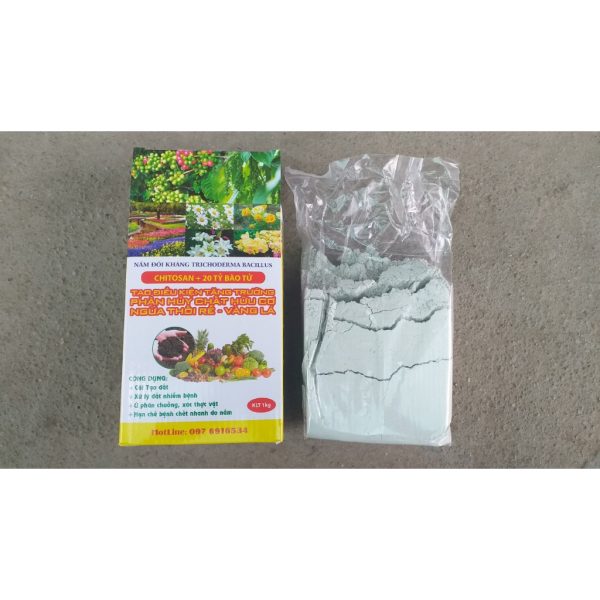 phan-bon-trichoderma-bacillus-nam-doi-khang-chitosan-20-ty-bao-tu-hop-1kg-hoang-nga phan-bon-trichoderma-bacillus-nam-doi-khang-chitosan-20-ty-bao-tu-hop-1kg-hoang-nga