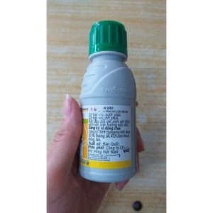 vn 11134207 7qukw ligtnceh178287