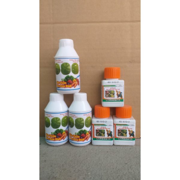 thuoc-bam-dinh-luu-dan-sieu-tham-sieu-bam-dinh-lo-100ml thuoc-bam-dinh-luu-dan-sieu-tham-sieu-bam-dinh-lo-100ml