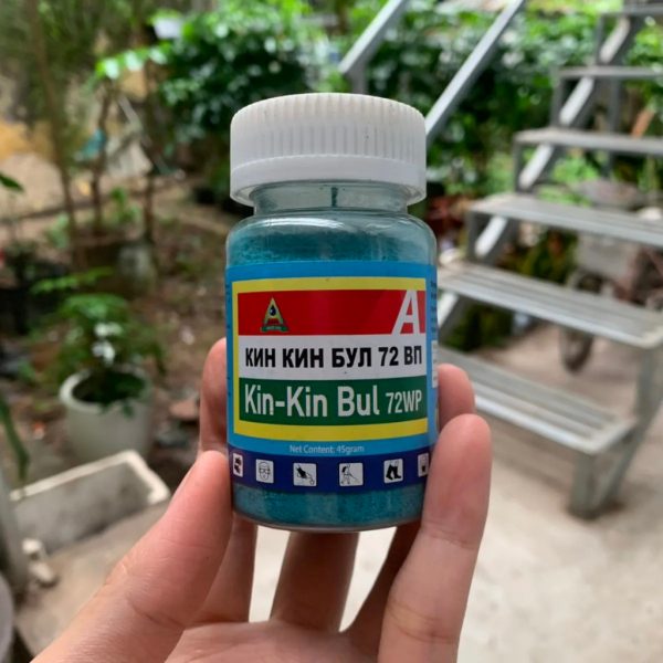 thuoc-tru-nam-kin-kin-bul-72wp-lo-45gr-goi-45gr-100gr-chuyen-phong-thoi-nhun-nam-hai-cho-cay-va-hoa-tien-dung thuoc-tru-nam-kin-kin-bul-72wp-lo-45gr-goi-45gr-100gr-chuyen-phong-thoi-nhun-nam-hai-cho-cay-va-hoa-tien-dung
