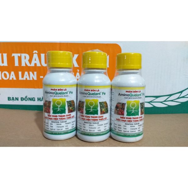 phan-bon-la-grow-more-amino-quelant-fe-lo-100ml-khac-phuc-hien-tuong-thieu-sat-bien-vang-thanh-xanh phan-bon-la-grow-more-amino-quelant-fe-lo-100ml-khac-phuc-hien-tuong-thieu-sat-bien-vang-thanh-xanh
