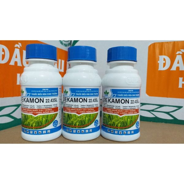 thuoc-dieu-hoa-sinh-truong-cay-trong-dekamon-22-43sl-phan-bon-la-kich-thich-sinh-truong-lo-100ml thuoc-dieu-hoa-sinh-truong-cay-trong-dekamon-22-43sl-phan-bon-la-kich-thich-sinh-truong-lo-100ml