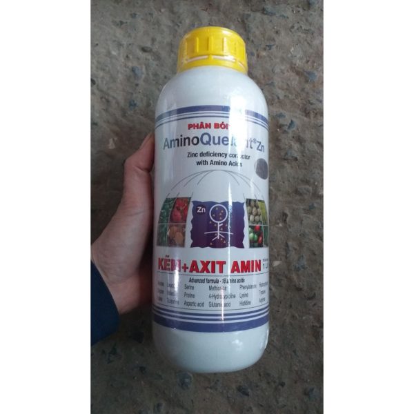 phan-bon-la-sinh-hoc-amino-quelant-zn-grow-more-bo-sung-kem-chong-vang-la-sinh-ly-cho-cay-trong-lo-100ml-1-lit phan-bon-la-sinh-hoc-amino-quelant-zn-grow-more-bo-sung-kem-chong-vang-la-sinh-ly-cho-cay-trong-lo-100ml-1-lit