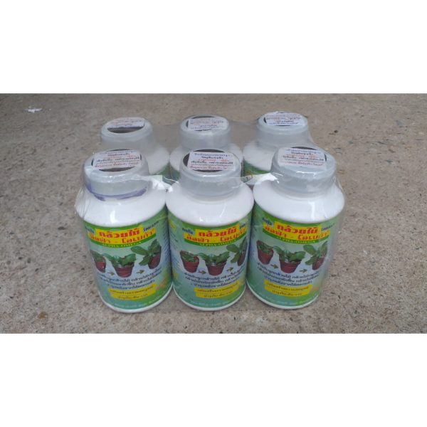 phan-bon-kich-thich-ra-hoa-cua-thai-kich-mam-cua-thai-lan-alpha-omega-lo-250ml phan-bon-kich-thich-ra-hoa-cua-thai-kich-mam-cua-thai-lan-alpha-omega-lo-250ml